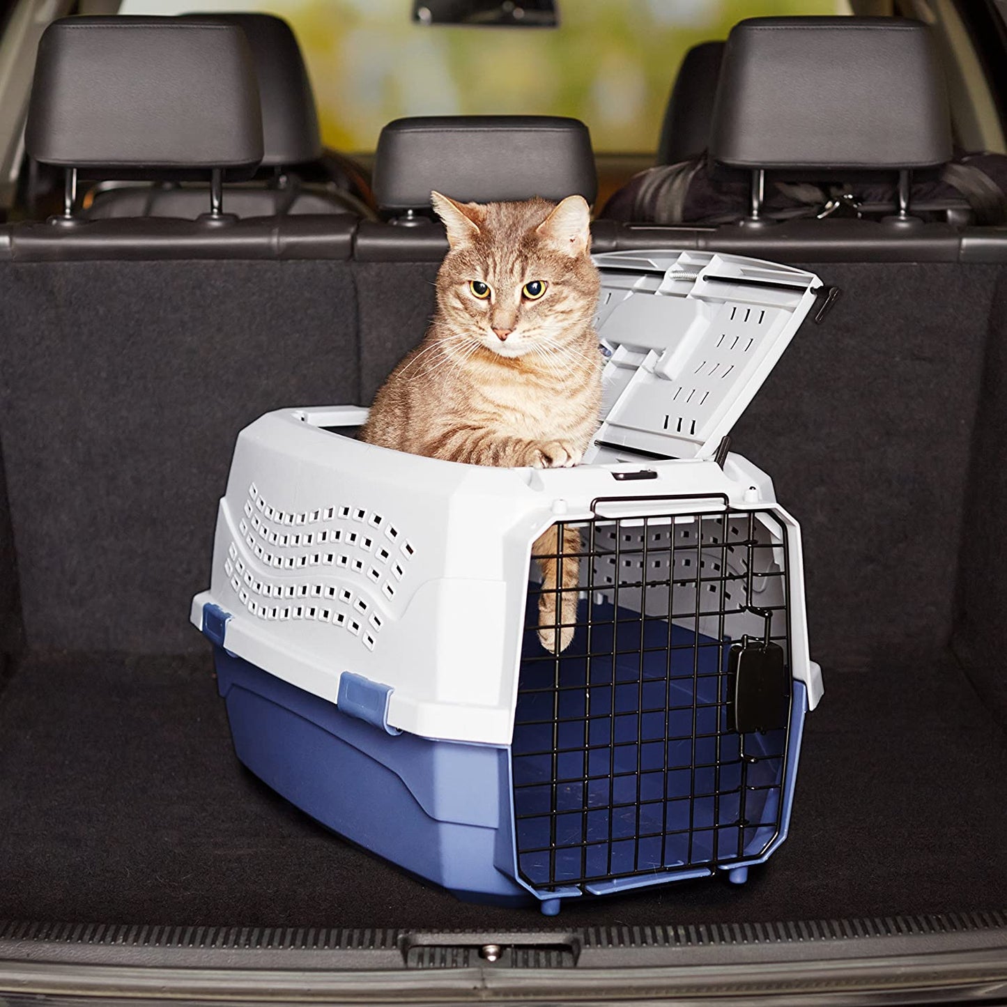 Versatile Two-Door Top-Load Pet Carrier for Easy Travel with Your Furry Friends