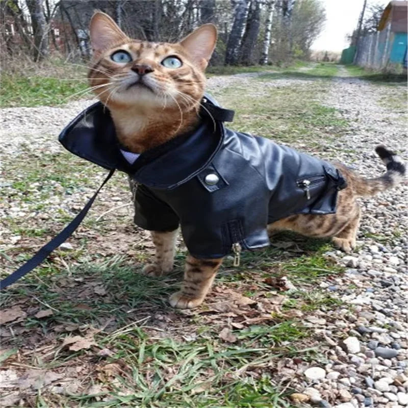 Glorious Eagle Pattern Dog Coat PU Leather Jacket Soft Waterproof Outdoor Puppy Outerwear Fashion Clothes for Small Pet