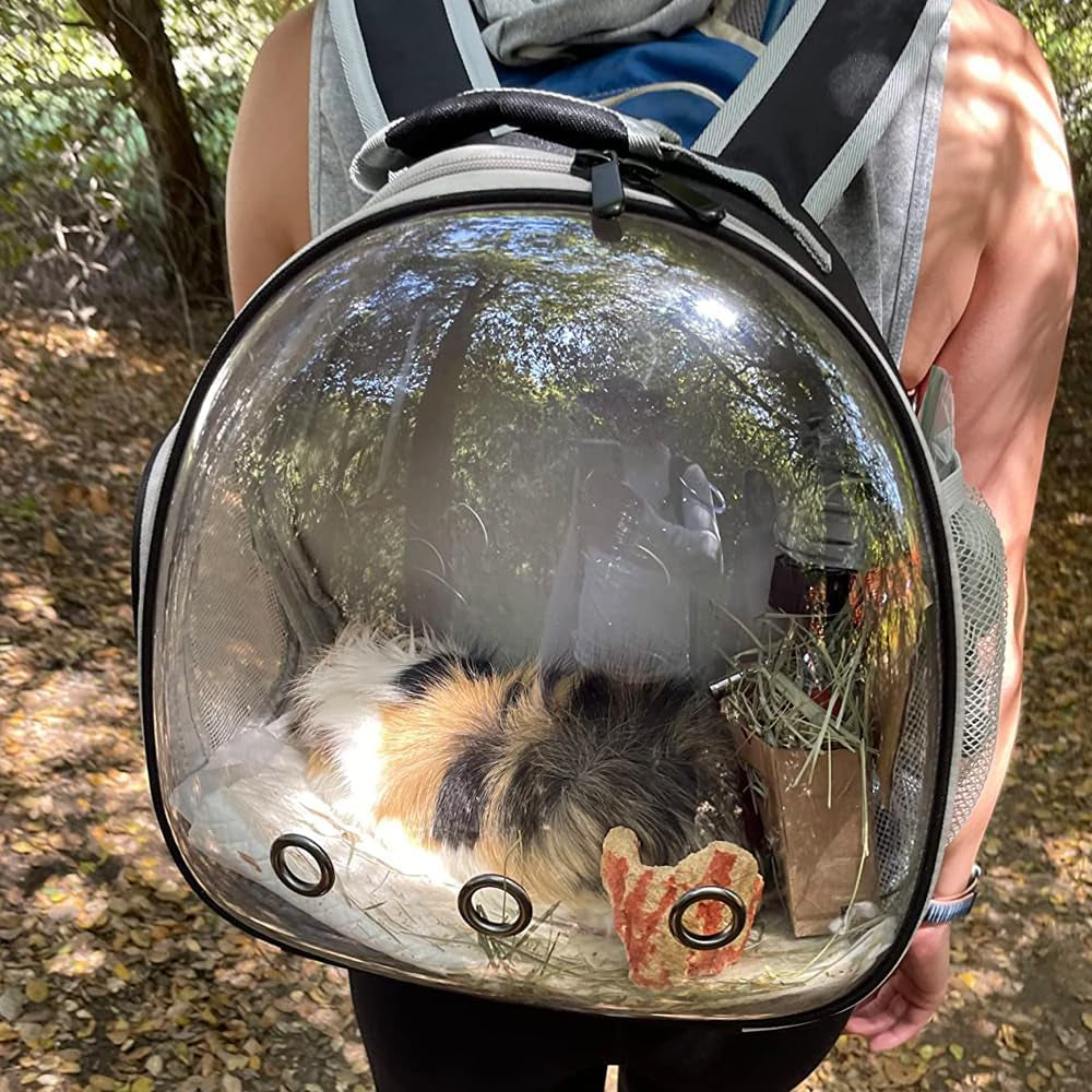 Ultimate Grey Guinea Pig Backpack Carrier with Clear Bubble Window - Perfect for Bearded Dragons, Hedgehogs, and More! Airline Approved for Travel Adventures
