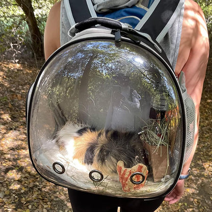 Ultimate Grey Guinea Pig Backpack Carrier with Clear Bubble Window - Perfect for Bearded Dragons, Hedgehogs, and More! Airline Approved for Travel Adventures
