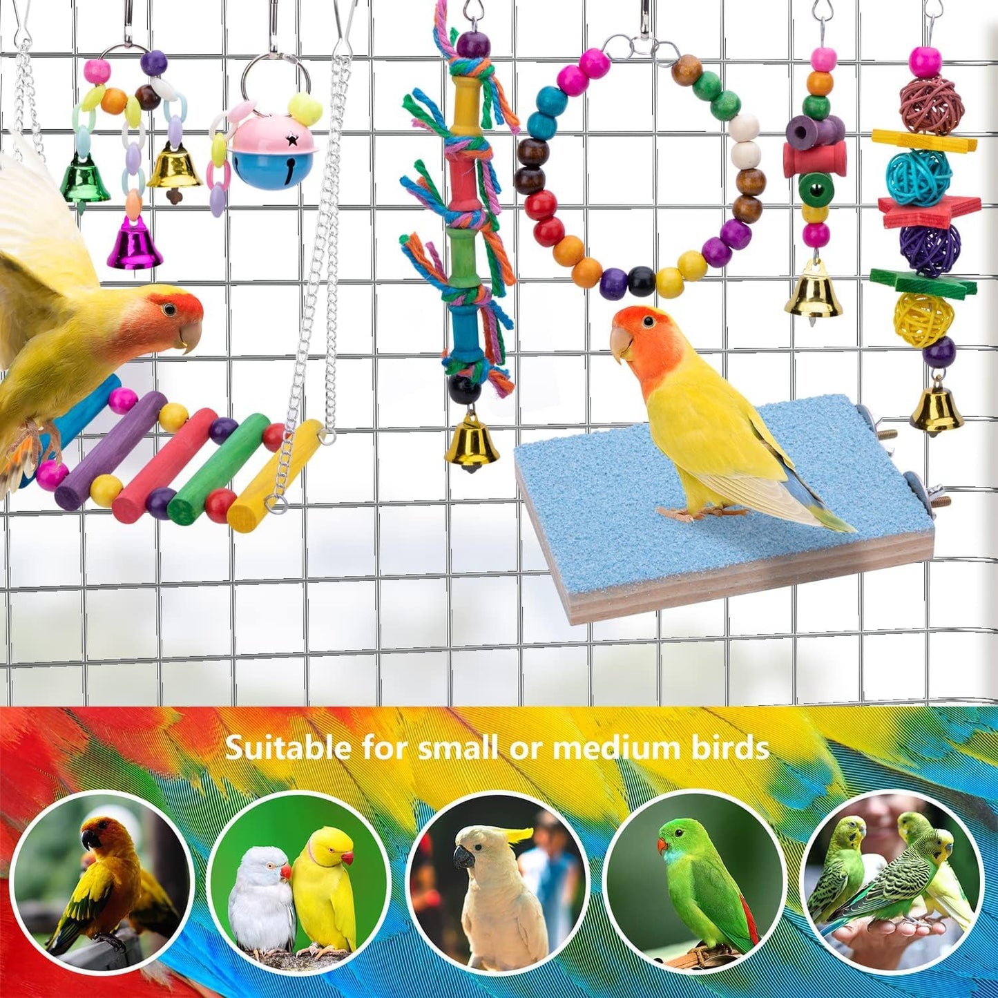 8-Pack Bird Swing and Chewing Toys - Perfect Parrot Hammock Bell Set for Small Birds Like Parakeets, Cockatiels, and Finches