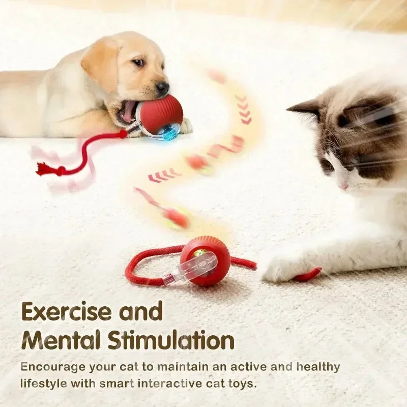 Exciting Interactive Cat Ball Toy - Rechargeable Automatic Rolling Ball with Tail for Endless Playtime Fun!
