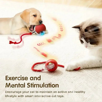 Exciting Interactive Cat Ball Toy - Rechargeable Automatic Rolling Ball with Tail for Endless Playtime Fun!