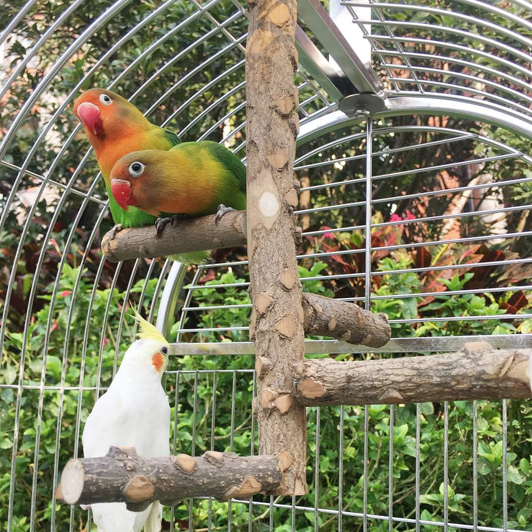 Natural Wood Bird Perch Stand for Small to Medium Parrots - Perfect for Playtime and Communication