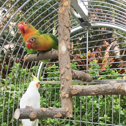Natural Wood Bird Perch Stand for Small to Medium Parrots - Perfect for Playtime and Communication