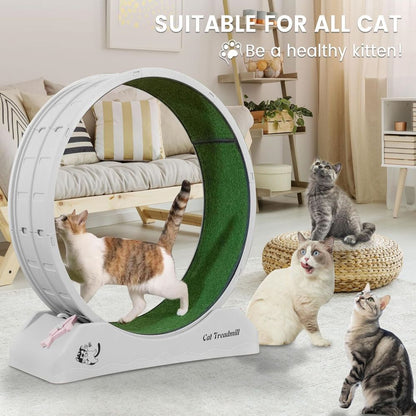 Revolutionary Cat Treadmill Runner - Indoor Exercise Wheel for Active Felines