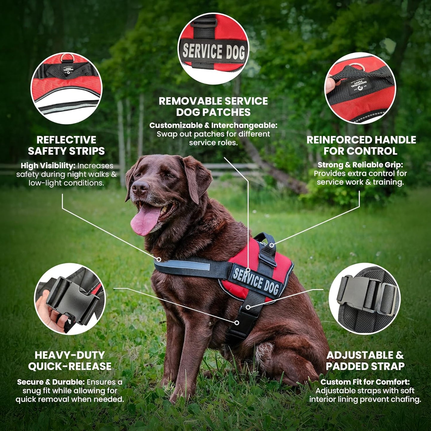 Premium Hot Pink Service Dog Vest and Leash Set - Versatile Harness with Reflective Patches for All Breeds