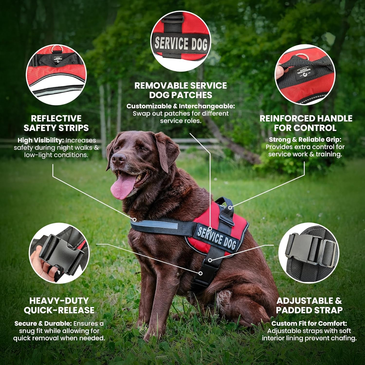 Premium Hot Pink Service Dog Vest and Leash Set - Versatile Harness with Reflective Patches for All Breeds