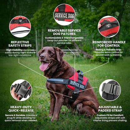 Premium Hot Pink Service Dog Vest and Leash Set - Versatile Harness with Reflective Patches for All Breeds