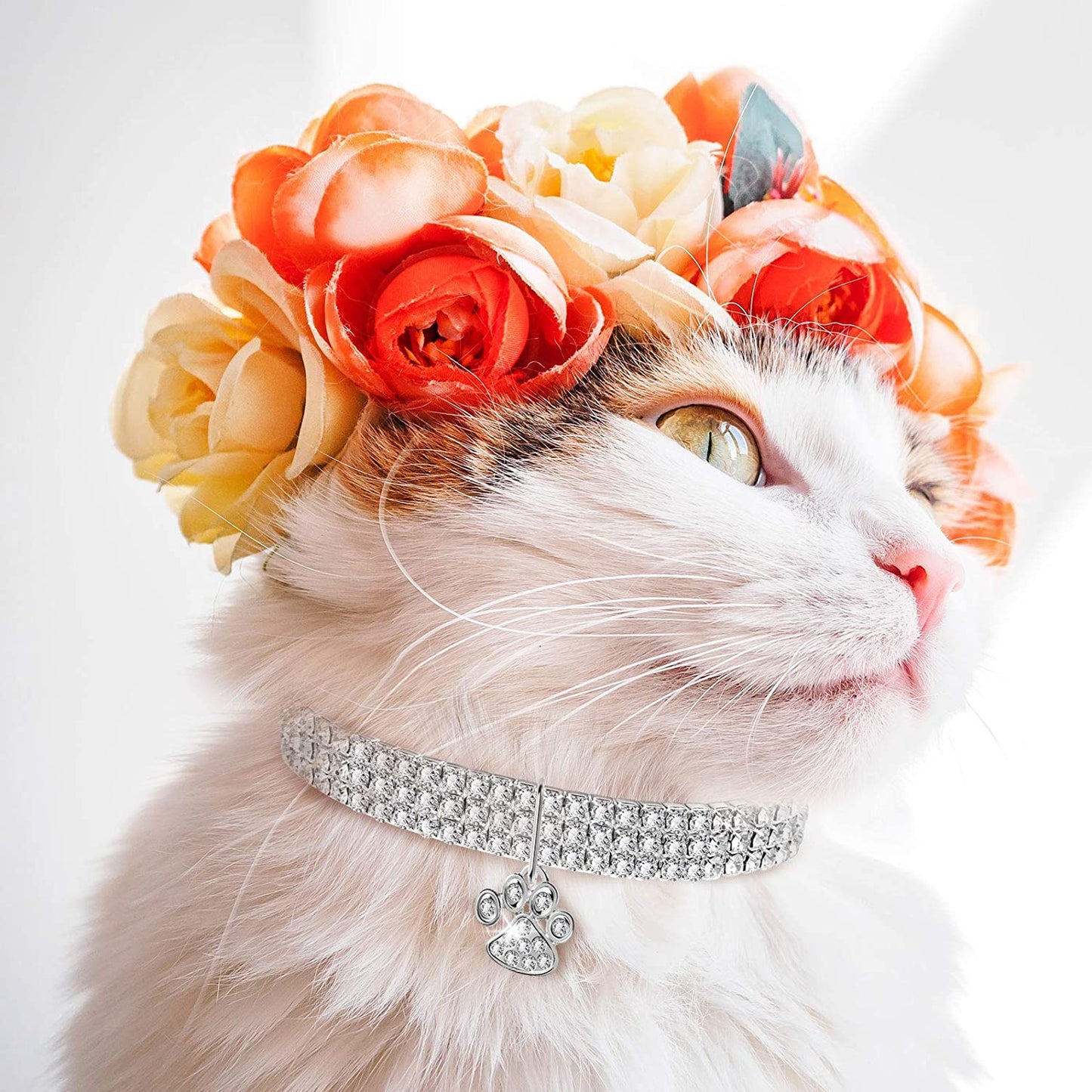 Sparkling 3-Piece Rhinestone Pet Collar Set - Adjustable Crystal Necklaces for Small Dogs and Cats