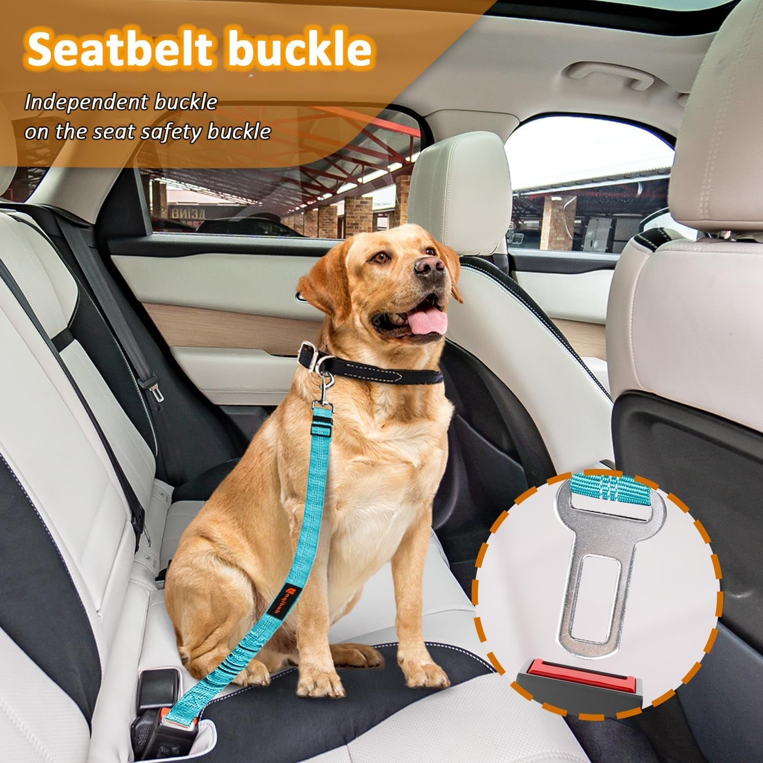Ultimate 3-in-1 Removable Dog Seat Belt Harness for Car - Adjustable Reflective Bungee Leash & Secure Restraint in Stylish Black and Blue