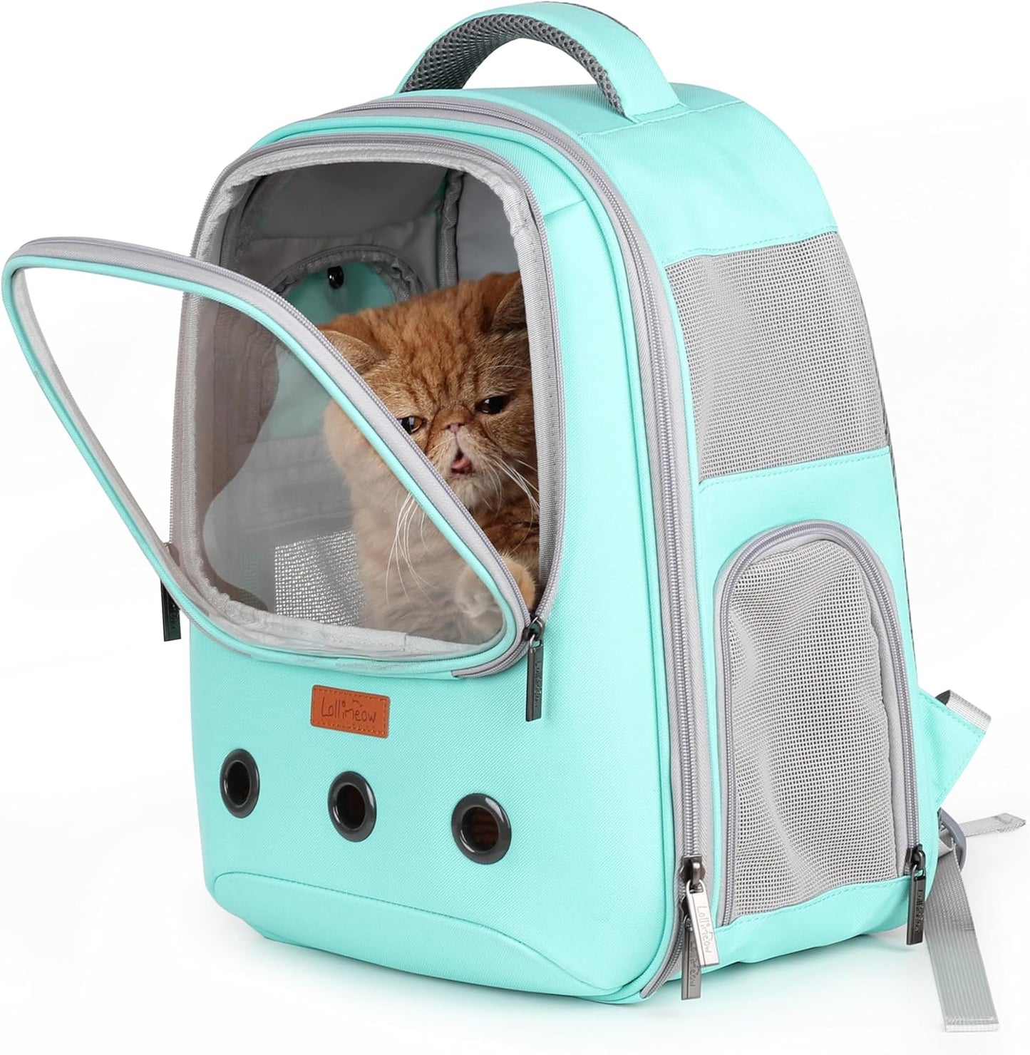 Stylish Green Pet Carrier Backpack - Airline-Approved Bubble Design for Cats and Small Dogs, Perfect for Travel, Hiking, and Outdoor Adventures