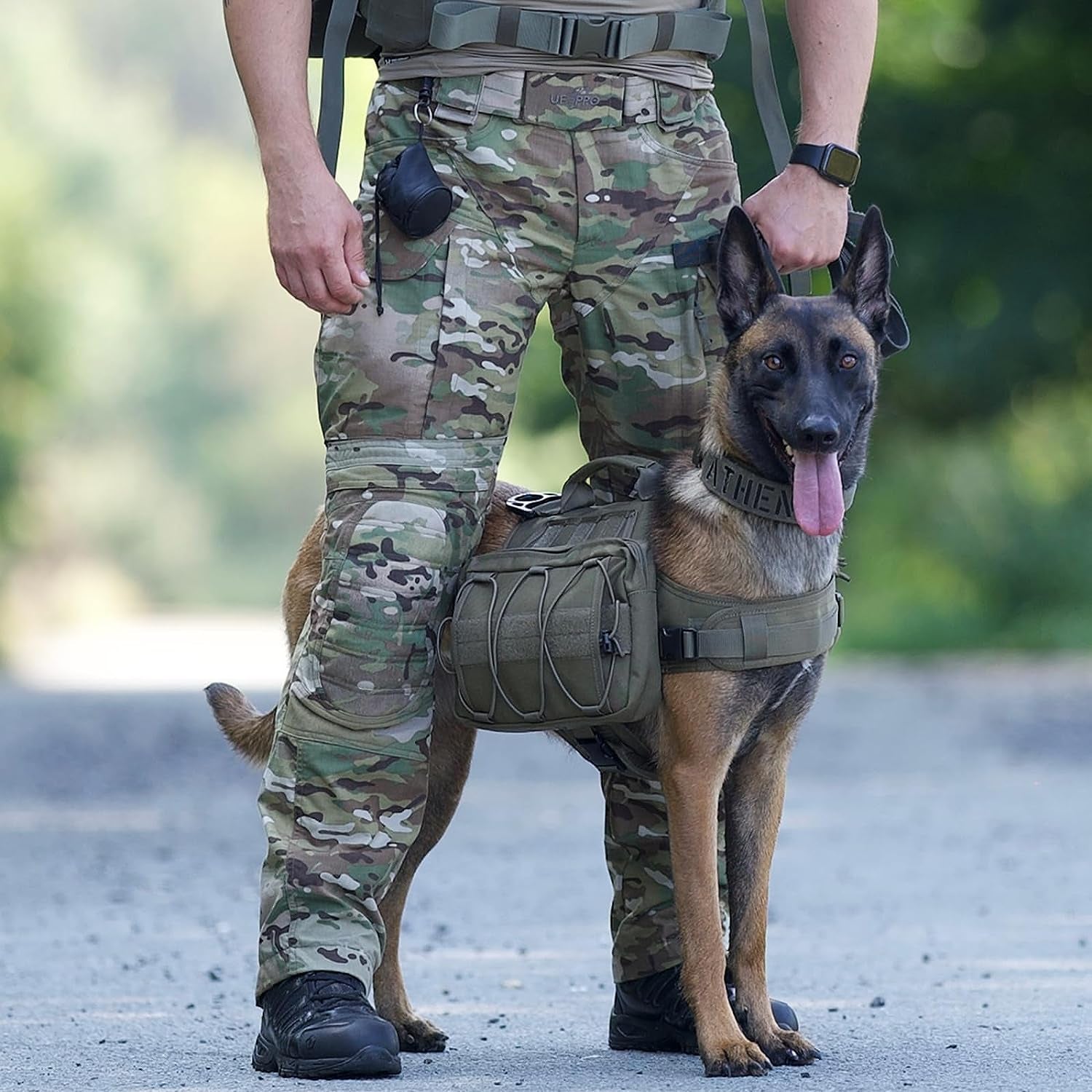 Adventure-Ready Dog Backpack for Medium & Large Dogs - Durable Tactical Nylon Pack with Side Pockets for Hiking, Walking, and Training (Green, Large)