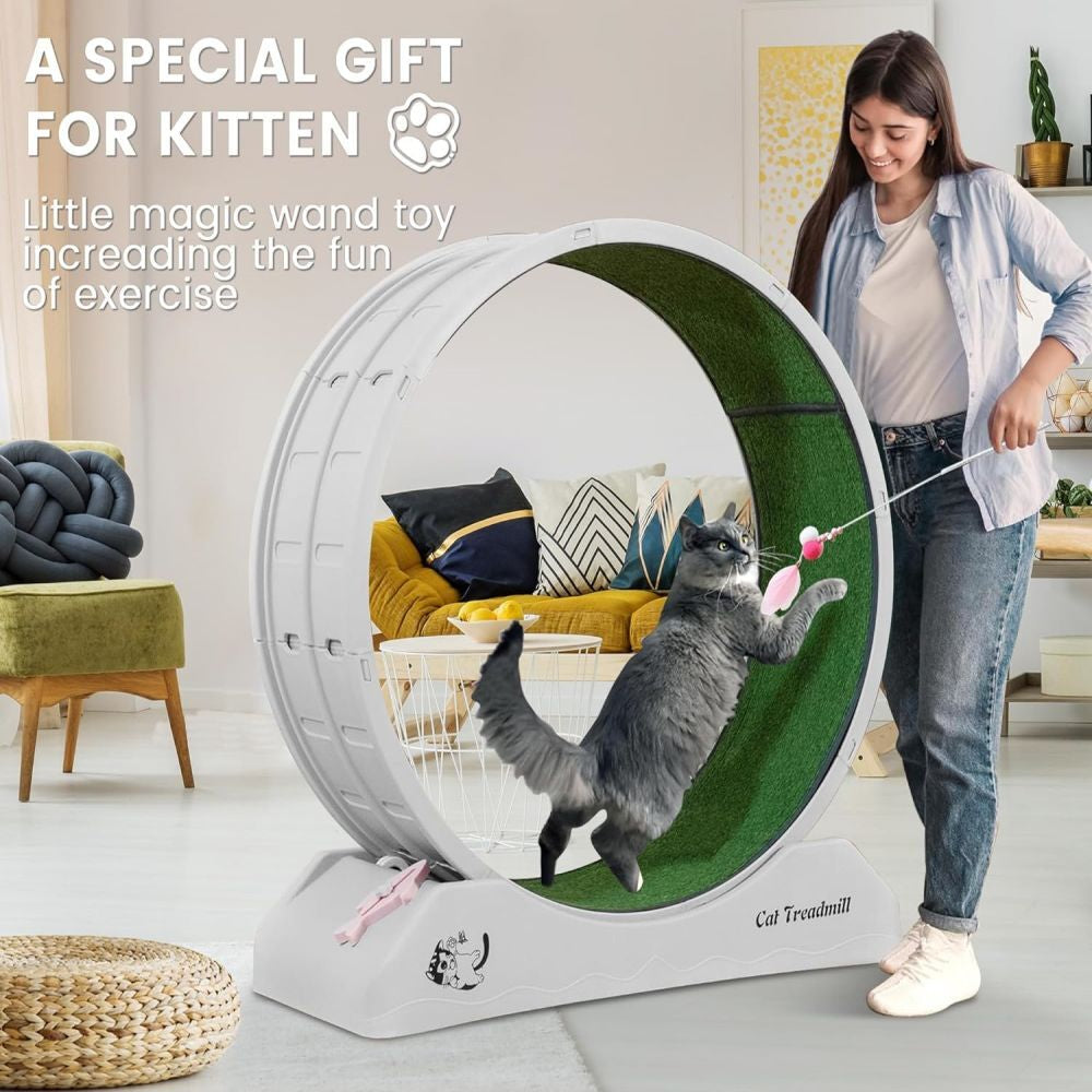 Revolutionary Cat Treadmill Runner - Indoor Exercise Wheel for Active Felines