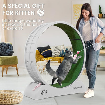 Revolutionary Cat Treadmill Runner - Indoor Exercise Wheel for Active Felines