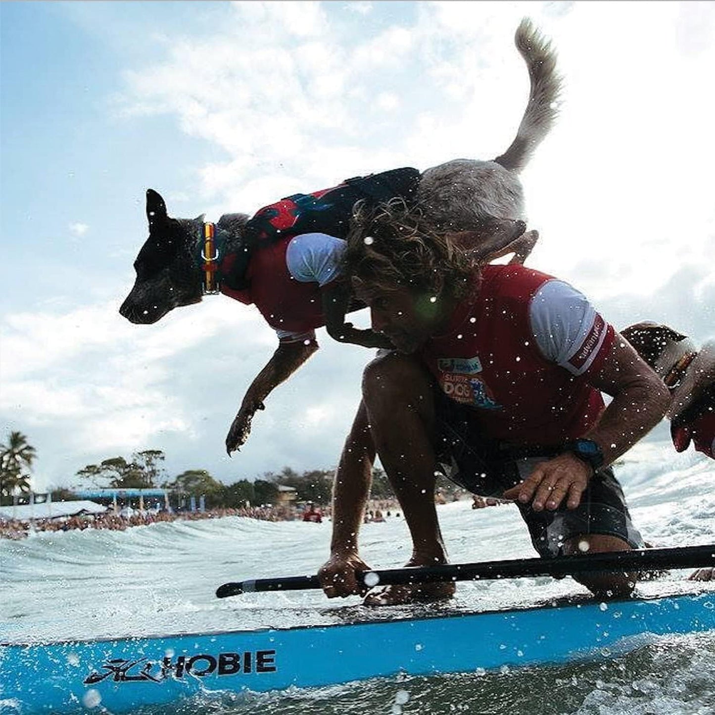 DFD Dog Life Jacket - Premium Adjustable Safety Vest with Reflective Trim & Enhanced Flotation for Small Dogs - Perfect for Water Adventures!