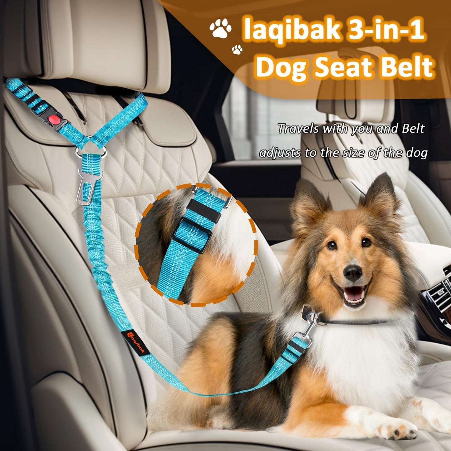 Ultimate 3-in-1 Removable Dog Seat Belt Harness for Car - Adjustable Reflective Bungee Leash & Secure Restraint in Stylish Black and Blue