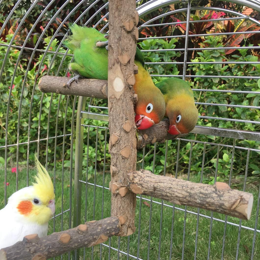 Natural Wood Bird Perch Stand for Small to Medium Parrots - Perfect for Playtime and Communication