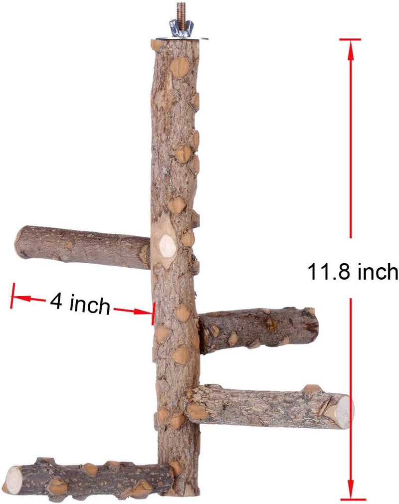 Natural Wood Bird Perch Stand for Small to Medium Parrots - Perfect for Playtime and Communication
