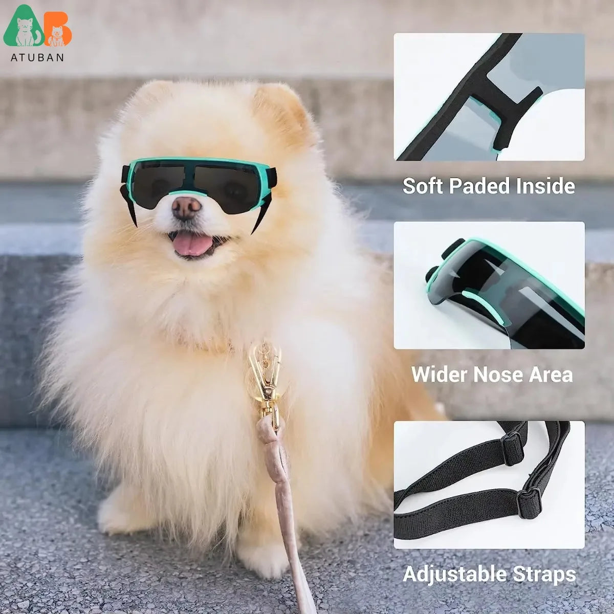 Stylish Blue Dog Sunglasses for Small Breeds - UV Protection and Windproof Goggles for Outdoor Adventures