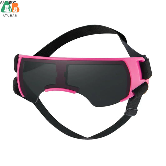 Stylish Blue Dog Sunglasses for Small Breeds - UV Protection and Windproof Goggles for Outdoor Adventures