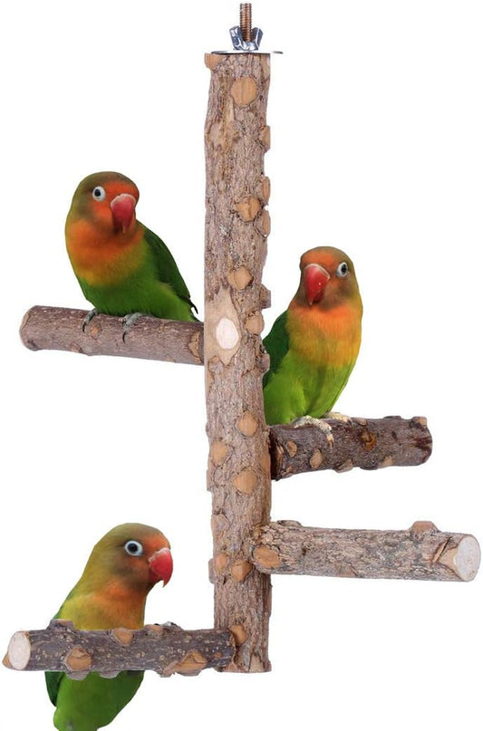 Natural Wood Bird Perch Stand for Small to Medium Parrots - Perfect for Playtime and Communication