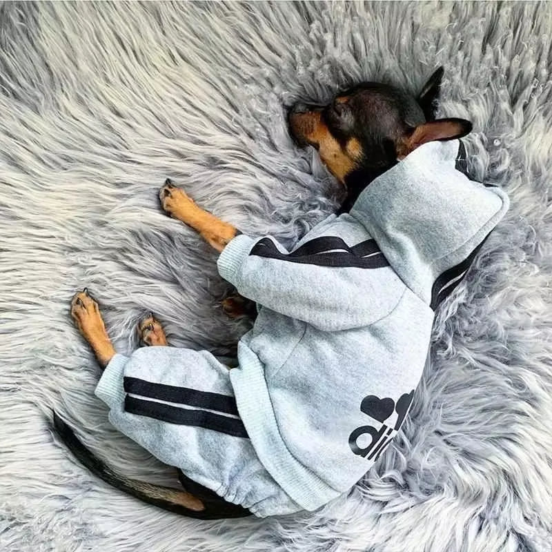 Cozy Adidog Dog Jumpsuit - Stylish Hoodies for Your Puppy, Perfect for Yorkies and French Bulldogs