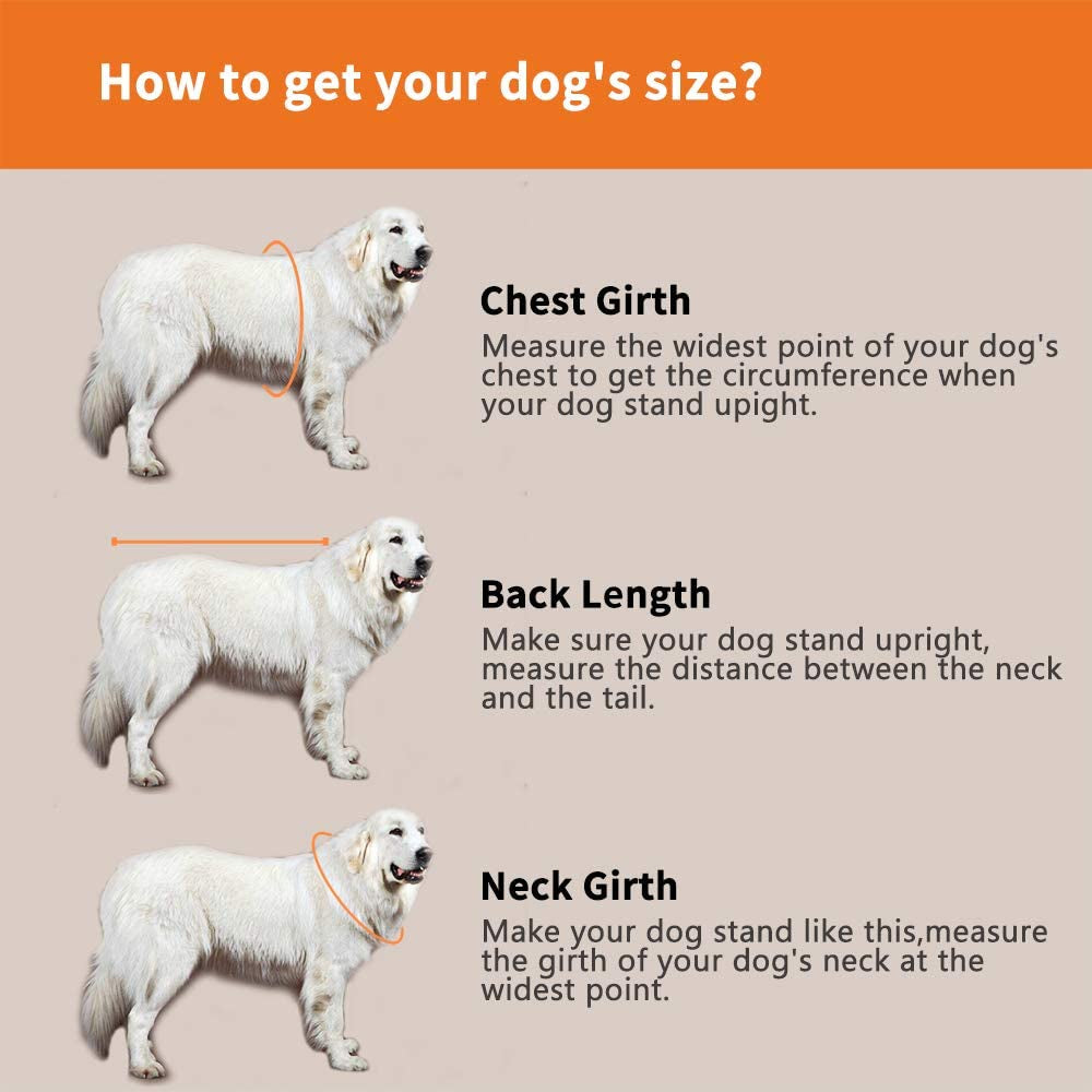 Ultimate Dog Life Jacket - Adjustable Shark Fin Design for Maximum Safety and Fun in Water (XS, Vibrant Orange)