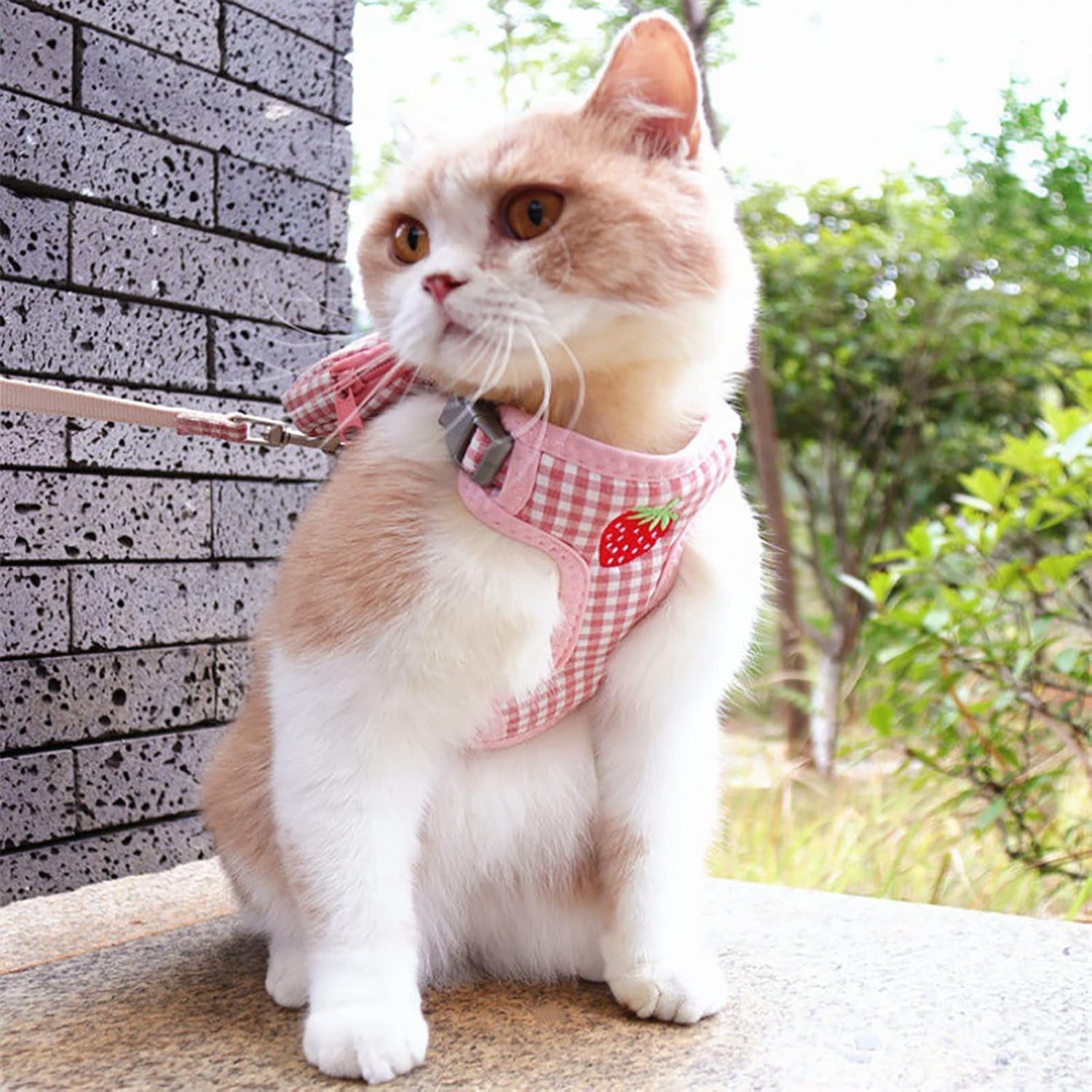 Stylish Pink Pet Backpack Harness with Leash - Perfect Mini Carrier for Small Dogs and Cats for Outdoor Adventures