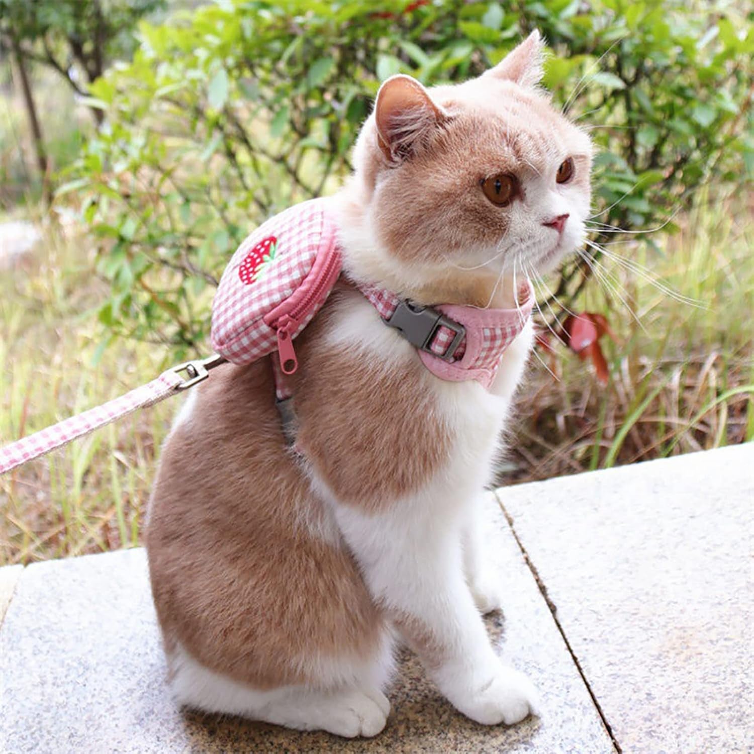 Stylish Pink Pet Backpack Harness with Leash - Perfect Mini Carrier for Small Dogs and Cats for Outdoor Adventures