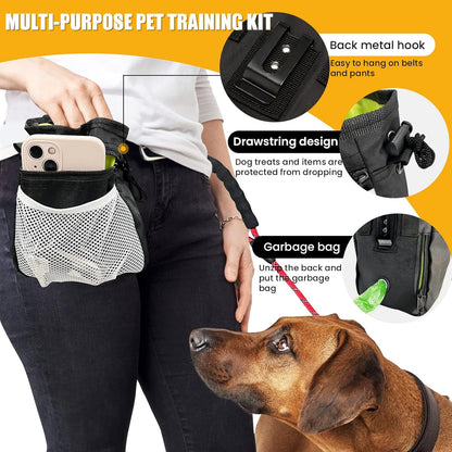 Ultimate 5/6 Ft Dog Leash with Reflective Threads & Padded Handle - Versatile Dog Treat Pouch Included for Effortless Walks & Training!