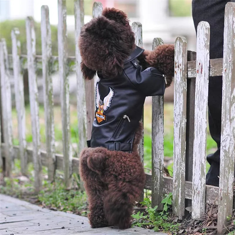 Glorious Eagle Pattern Dog Coat PU Leather Jacket Soft Waterproof Outdoor Puppy Outerwear Fashion Clothes for Small Pet