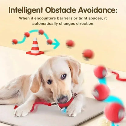 Exciting Interactive Cat Ball Toy - Rechargeable Automatic Rolling Ball with Tail for Endless Playtime Fun!
