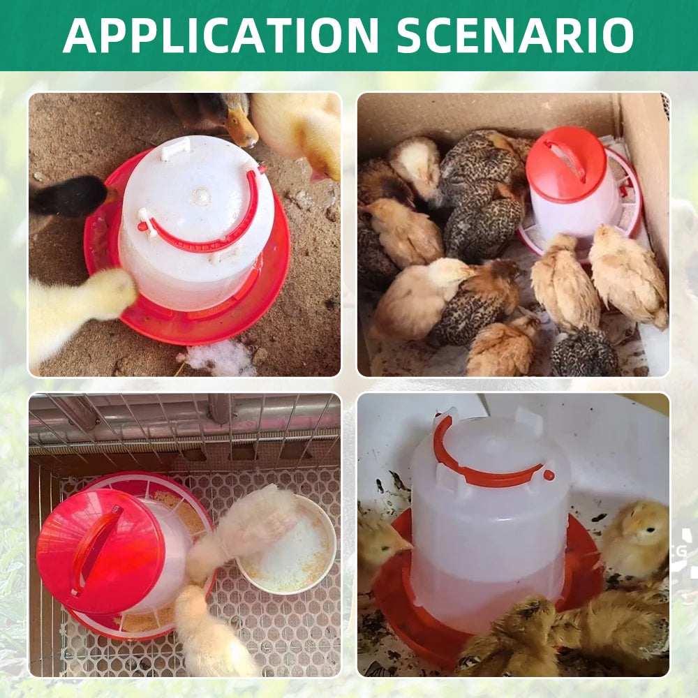 Automatic Chicken Feeder and Waterer - 3L/3kg Capacity for Effortless Poultry Care