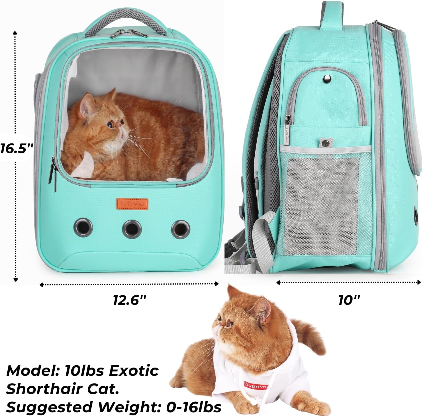 Stylish Green Pet Carrier Backpack - Airline-Approved Bubble Design for Cats and Small Dogs, Perfect for Travel, Hiking, and Outdoor Adventures