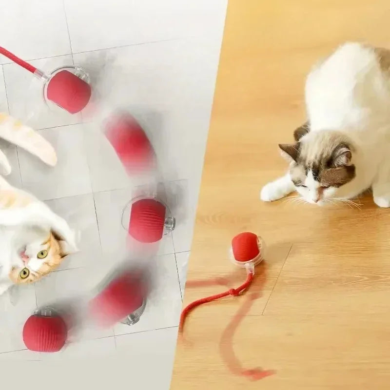 Exciting Interactive Cat Ball Toy - Rechargeable Automatic Rolling Ball with Tail for Endless Playtime Fun!