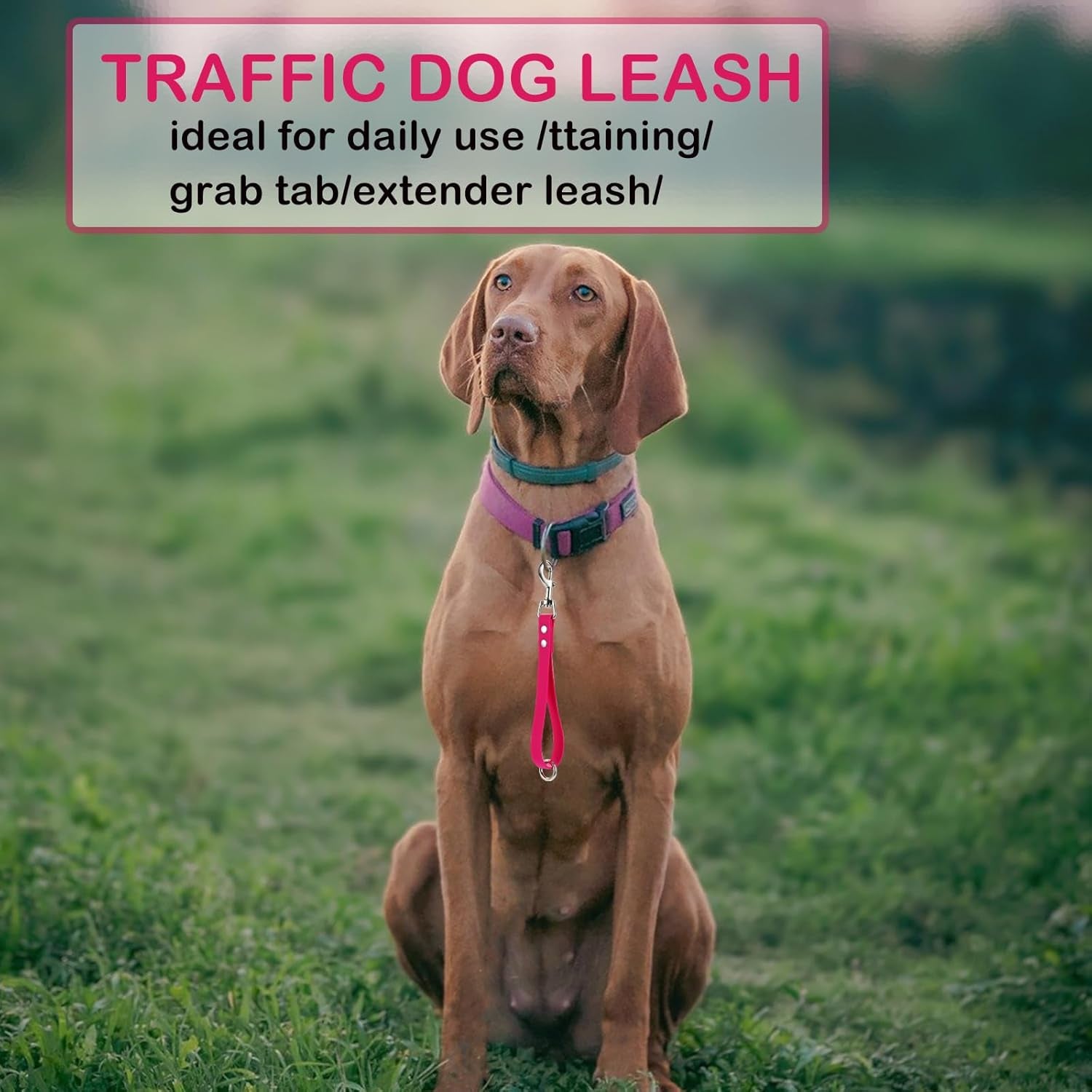 Durable 9-Inch Pink Dog Leash - Heavy Duty Waterproof PVC Training Tab for Ultimate Control and Safety