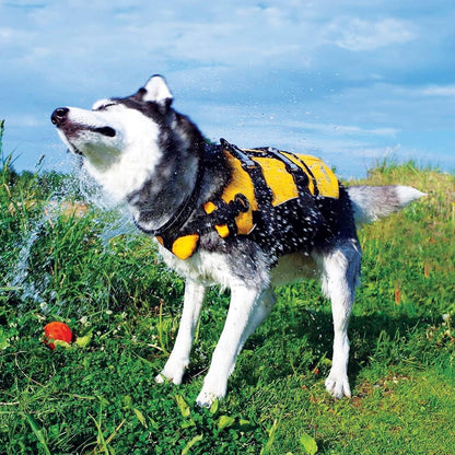 DFD Dog Life Jacket - Premium Adjustable Safety Vest with Reflective Trim & Enhanced Flotation for Small Dogs - Perfect for Water Adventures!