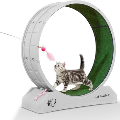 Revolutionary Cat Treadmill Runner - Indoor Exercise Wheel for Active Felines