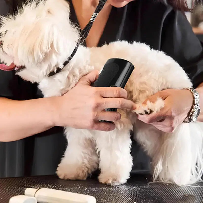 Transform Your Pet's Grooming Routine with the Ultimate Professional Deshedding Brush - Ergonomic, Multifunctional, and Effective Dog Hair Remover!